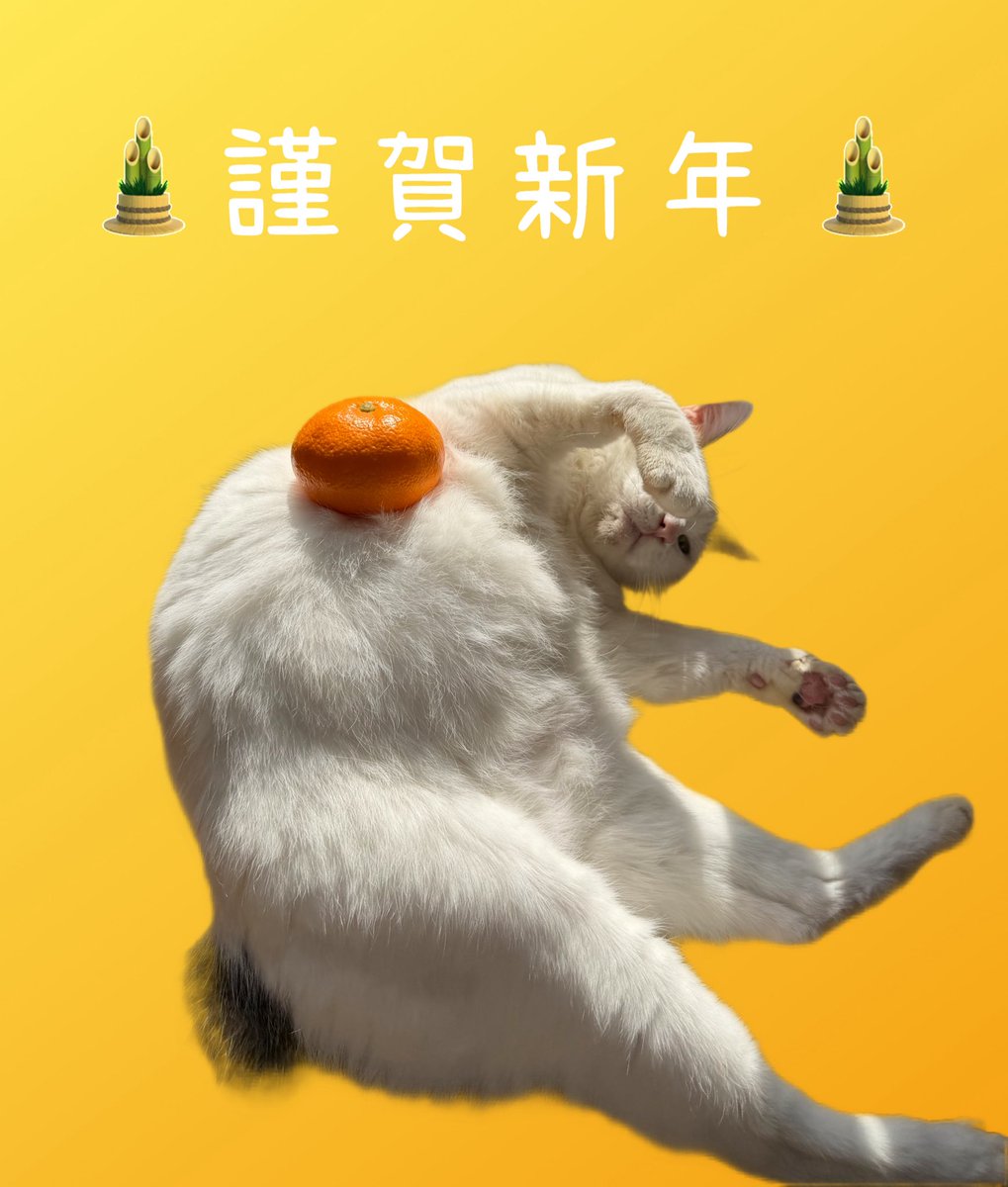 永井 真里子 tweet media