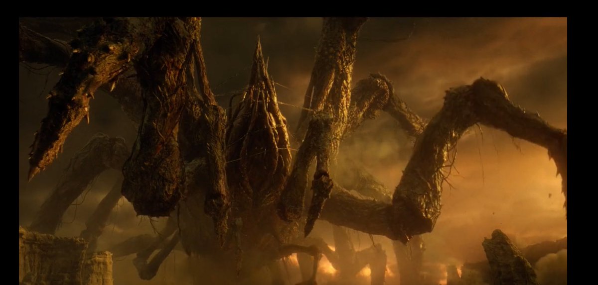 lupleasing's tweet image. porq parece una concha