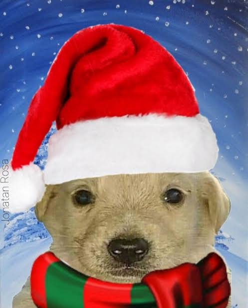 mapachetactico9's tweet photo. Feliz año nuevo desgraciados ojalá los doxeen 5 afganitas (último videito en las otras redes) https://t.co/SvCaB7yuJl