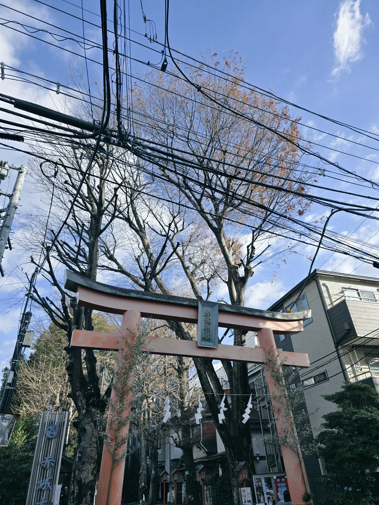 朝にさくっと初詣行った後、軽く飲みながら格ゲーの話を3時間くらいして年末年始の集まりが終わりました😃ことよろ