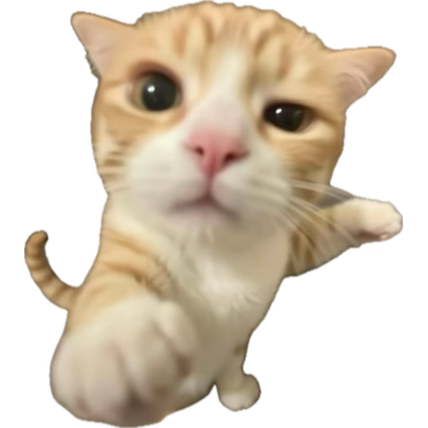 dimicorvr's tweet photo. Por fin se va https://t.co/bGDgncZgPp