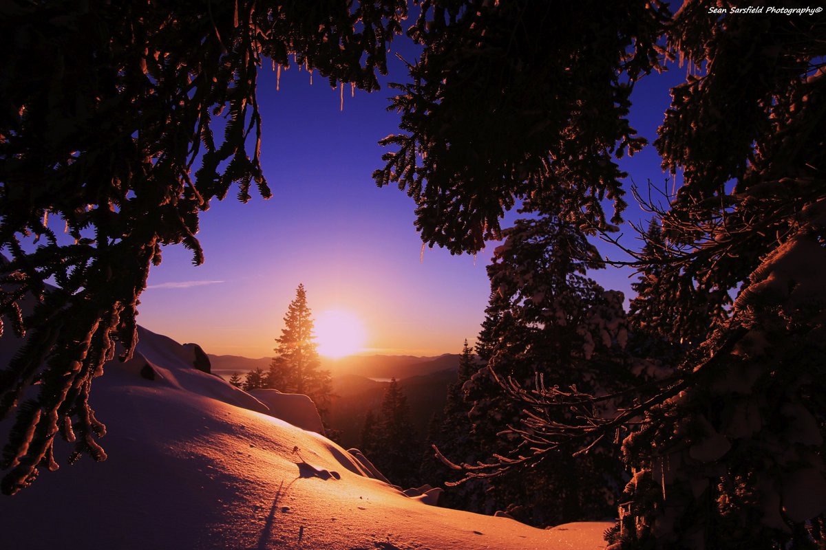 PEACE 
Enter The Lake Tahoe Gallery
sean-sarsfield.pixels.com
Metal Prints  Canvas Wraps  Puzzles 
Sweatshirts  Tote Bags  Towels 
Phone Cases  Yoga Mats  TShirts  
#Nature #Wolves #Dogs #Sierra #Hiking #Photography #Soul #Travel #Painting #Portraits #Craft #Art #WaterProtector