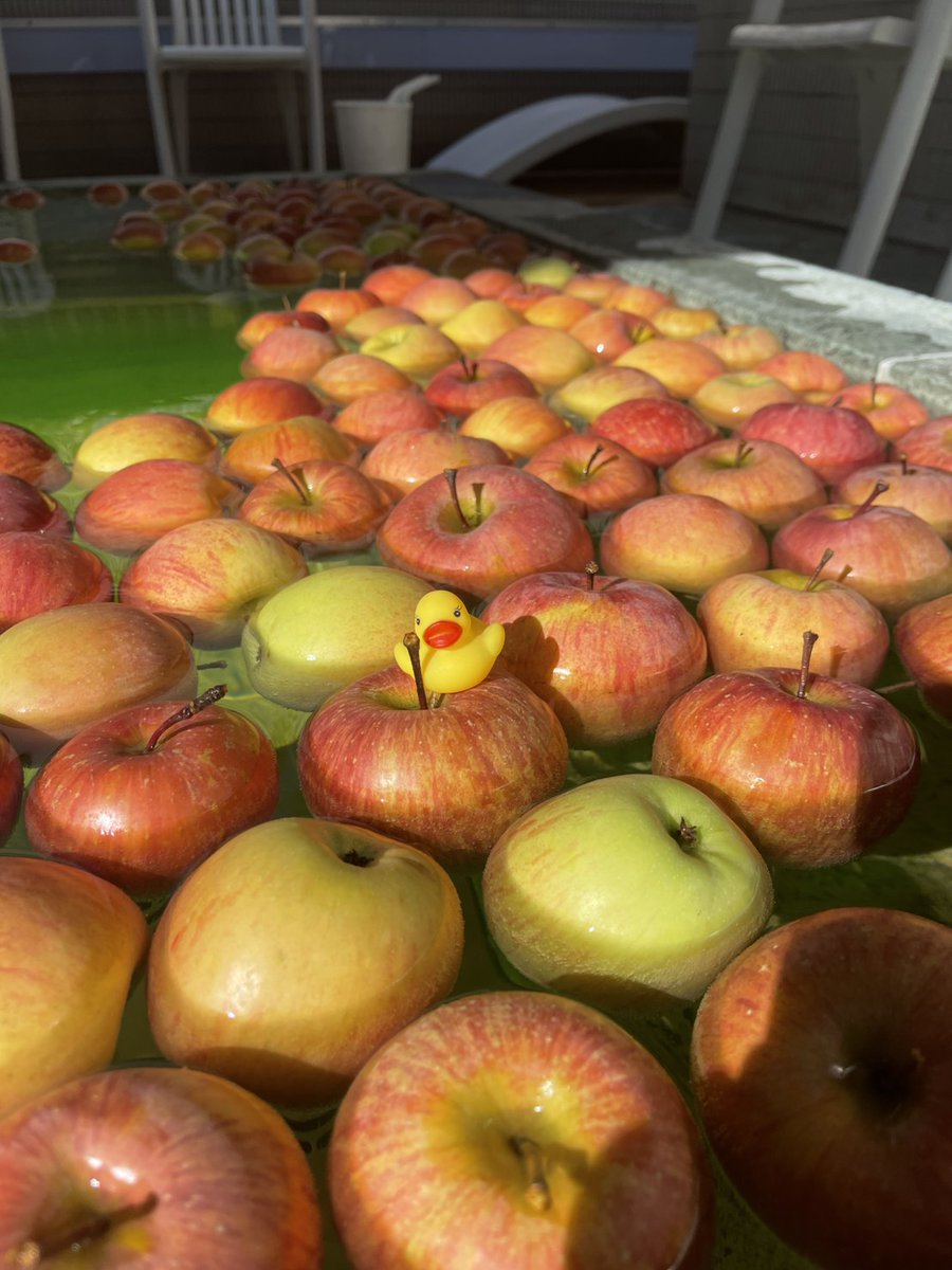 hokuo8000's tweet image. 🎍明けましておめでとうございます🎍
本年もどうぞよろしくお願いいたします🙇‍♂️
2026年の初サウナ、初ととのいはサウナ＆カプセルホテル北欧で♨️
🍺本日レストラン
生ビール半額‼️
おせち＆お雑煮もご用意しています✨
🍎露天風呂では
毎年恒例「リンゴ風呂」開催中！
お待ちしてしております🔥…