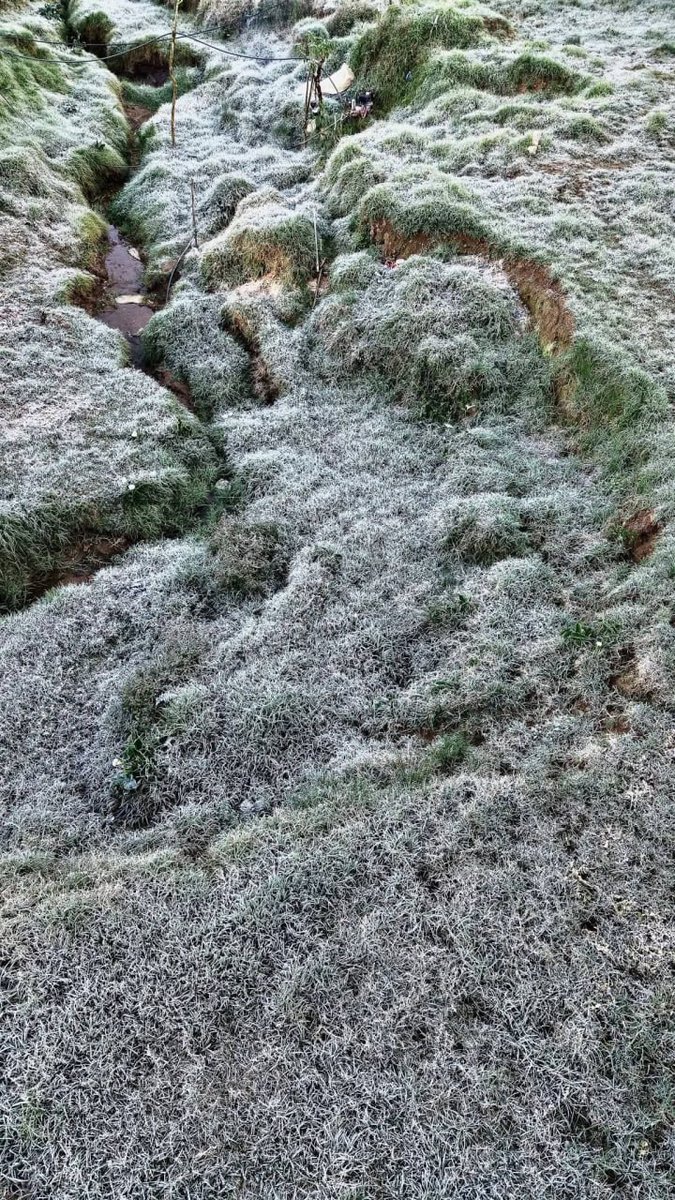 NET25TV's tweet photo. FROST IN BENGUET
TINGNAN: Nabalot ng andap o frost ang malaking bahagi ng Englandad, Paoay, Atok, Benguet kahapon, Miyerkules, Disyembre 31.
📷: Mt. Olis Viewpoint / FB
#NET25NewsandInformation #Benguet #frost #andap https://t.co/j10QI5XlkH