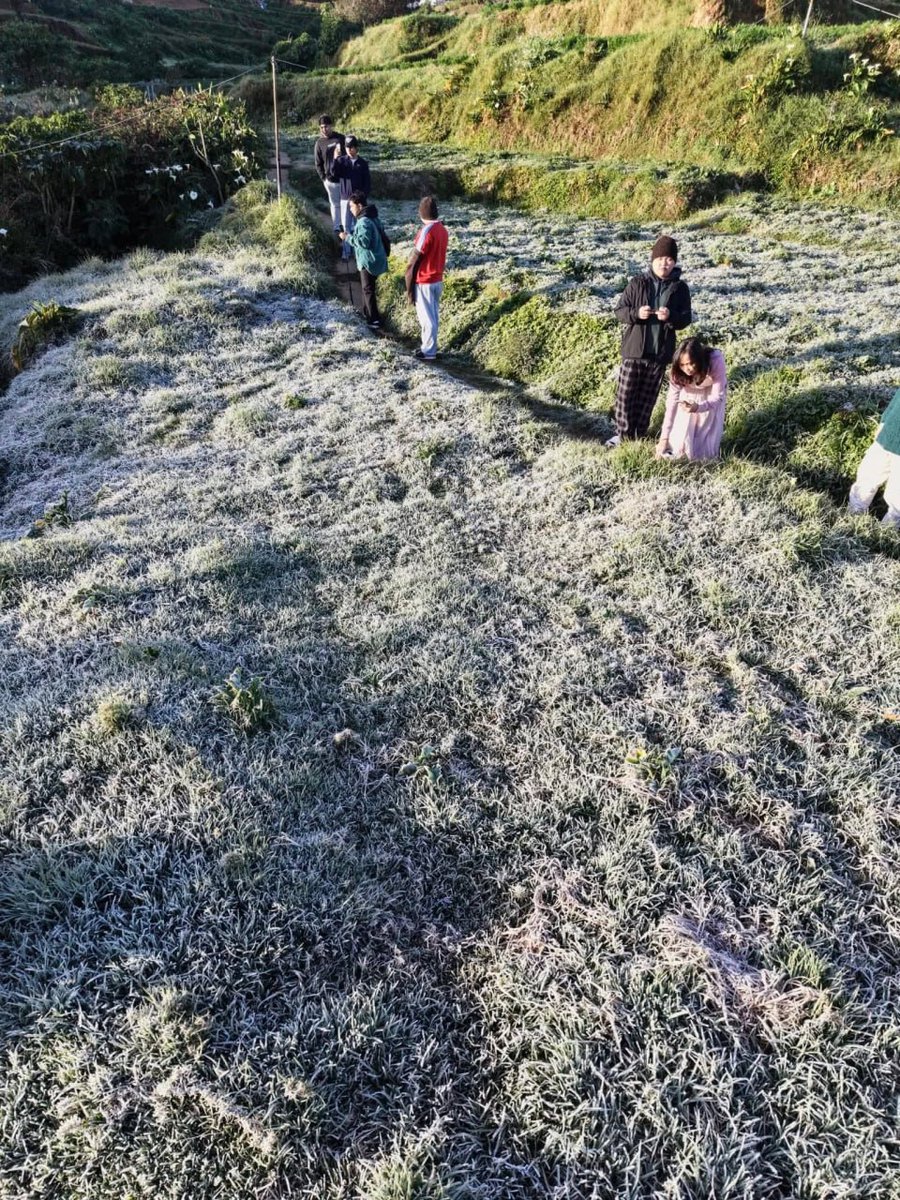 NET25TV's tweet photo. FROST IN BENGUET
TINGNAN: Nabalot ng andap o frost ang malaking bahagi ng Englandad, Paoay, Atok, Benguet kahapon, Miyerkules, Disyembre 31.
📷: Mt. Olis Viewpoint / FB
#NET25NewsandInformation #Benguet #frost #andap https://t.co/j10QI5XlkH
