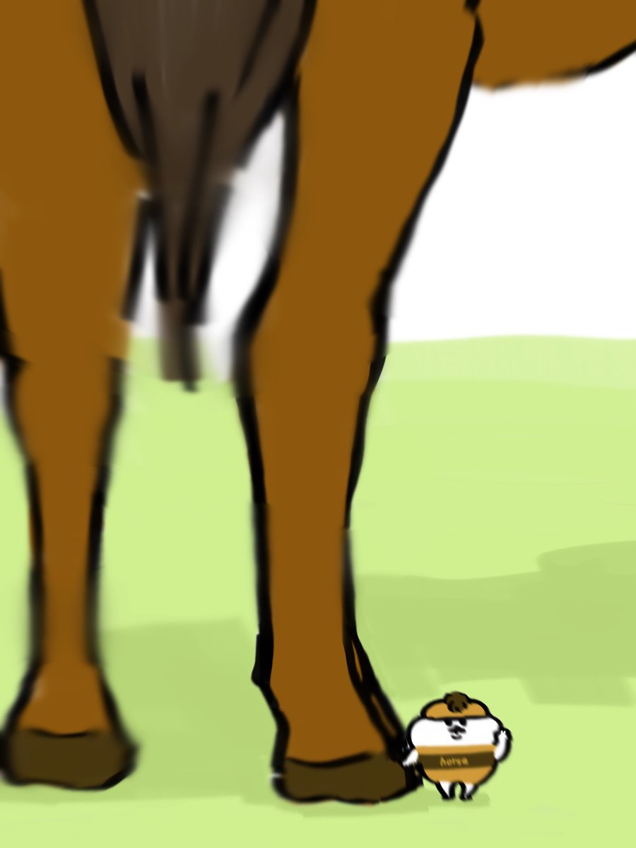 わかめ！ tweet media