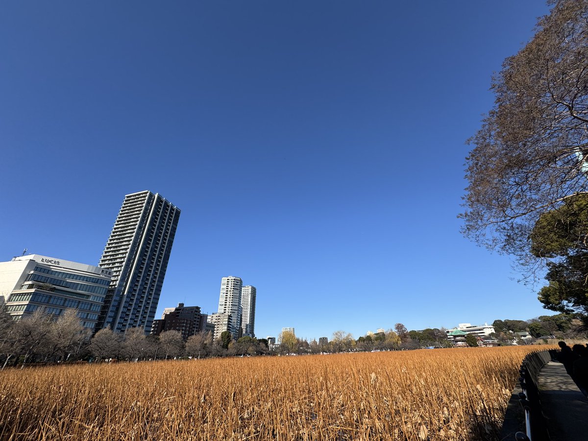 ごんた (@gonta0417) / Posts / X