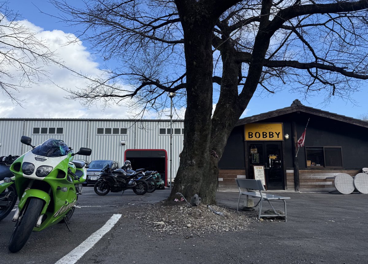 ボビーページ Amazon.co.jp: [エックスディーデザイン] ボビービズ Bobby Bizz 3WAY