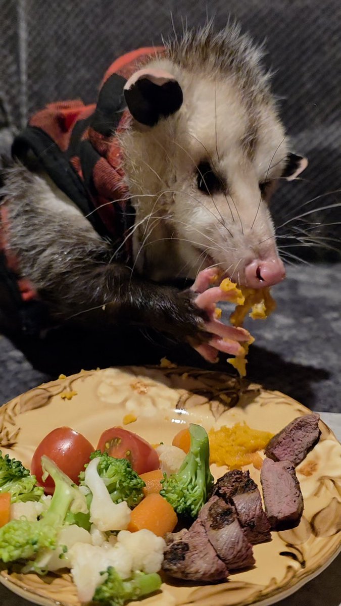 Critters tweet media