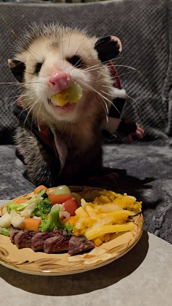 Critters tweet media