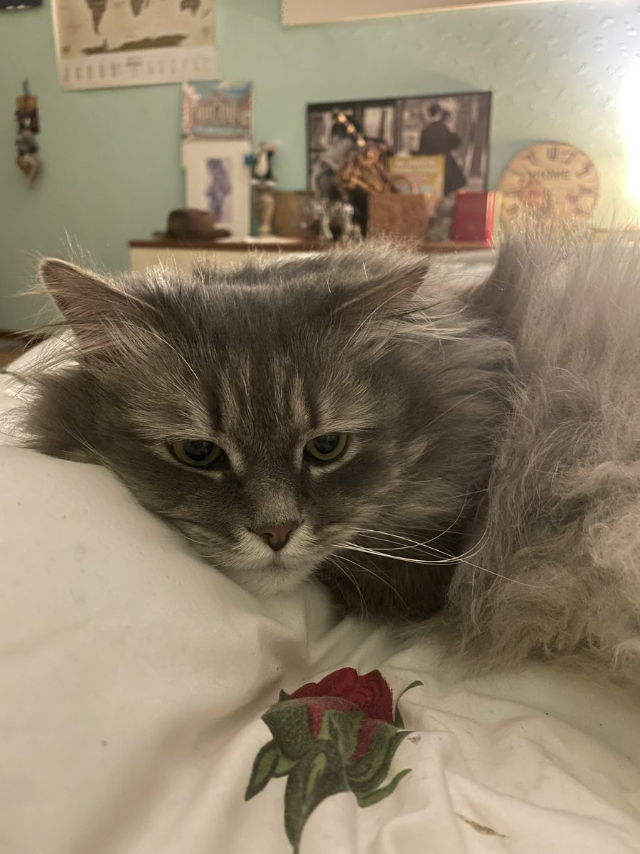 sofiiiika's tweet image. the art / the artist