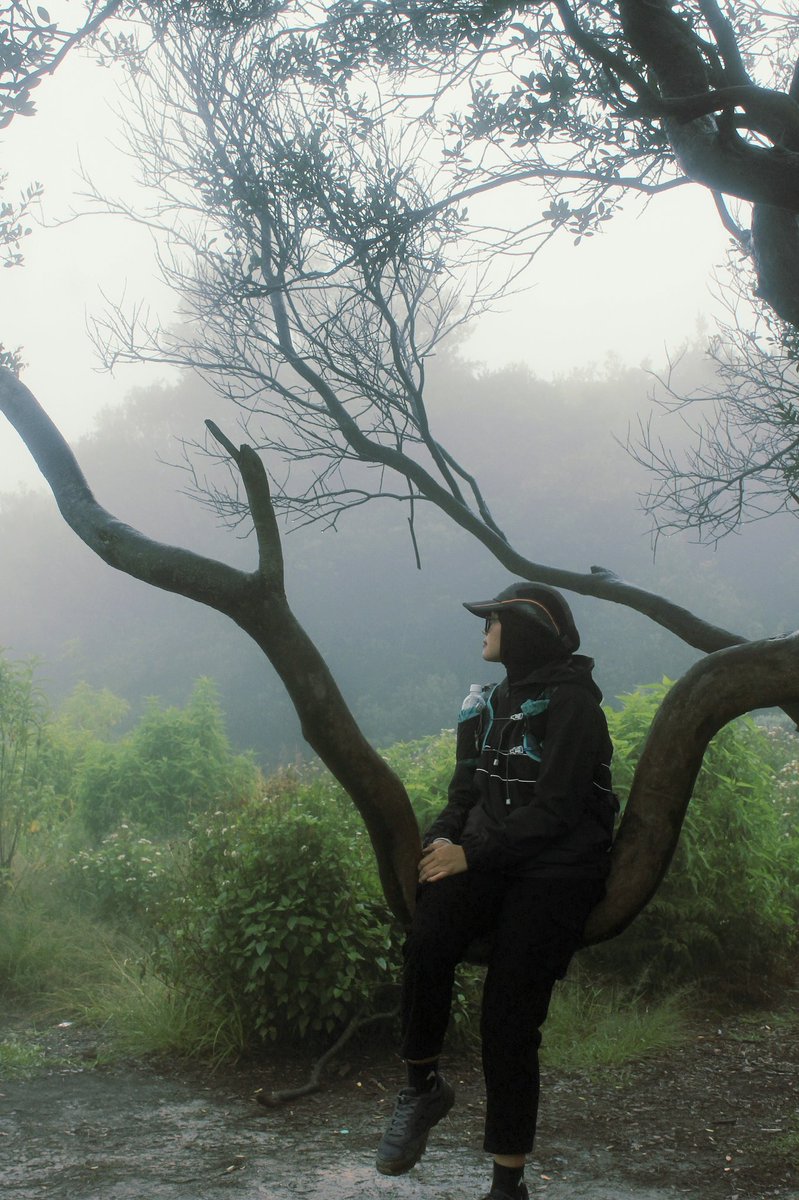 thifahnra's tweet photo. where the soul finds its quiet. https://t.co/GRwd7b7S6B