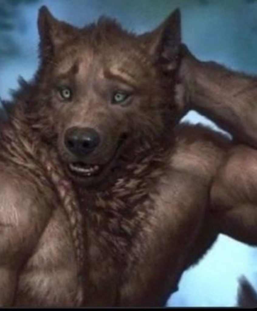 ♥️ TCR | mega shenasty tweet media