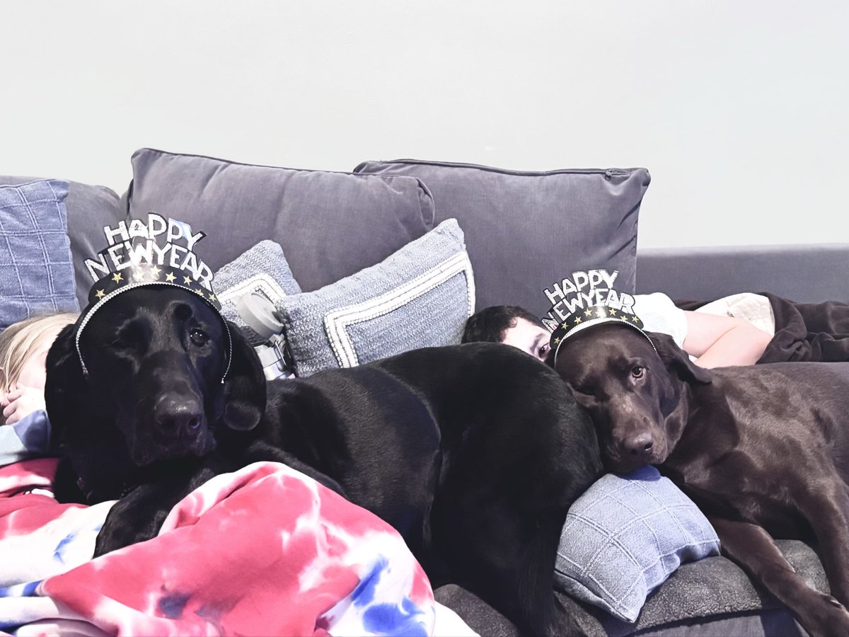 Chippyfalls's tweet image. Happy New Year… God Bless the USA!