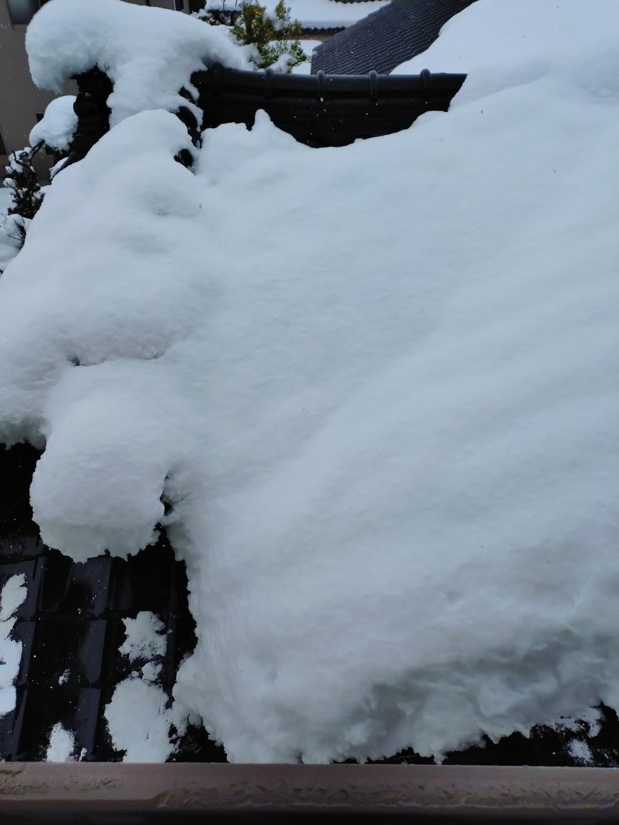 雪ちょっと積もってる 溶けろおおおおお 雪かきしたくねえええい