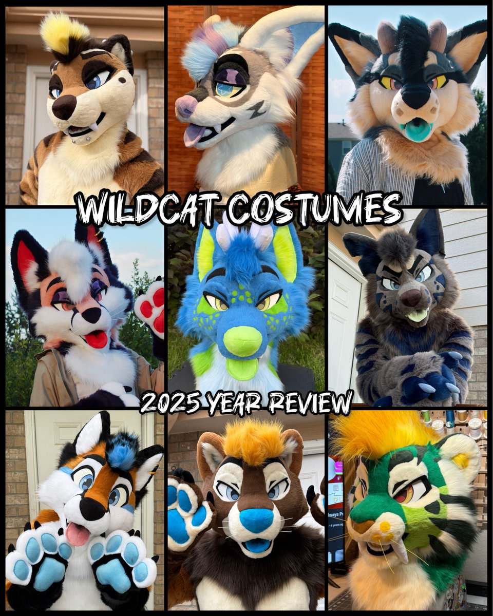 Ari 🦊 🔜 ANE (@FoxNamedAri) / Posts / X