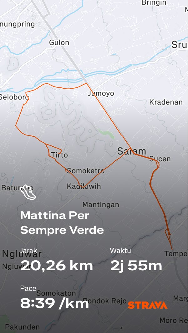 Sssst... tweet media