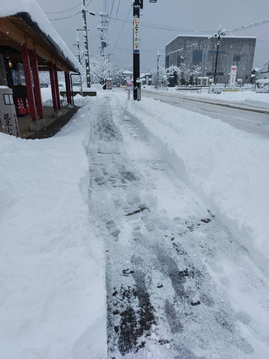 ミコぴょん＠弥彦観光協会公式 (@yahiko_kankoPR) / Posts / X