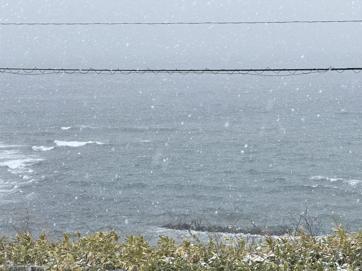 zuribow's tweet photo. 津軽海峡冬景色(本物)
自室より。
寒い。 https://t.co/wl0r0RnxoC