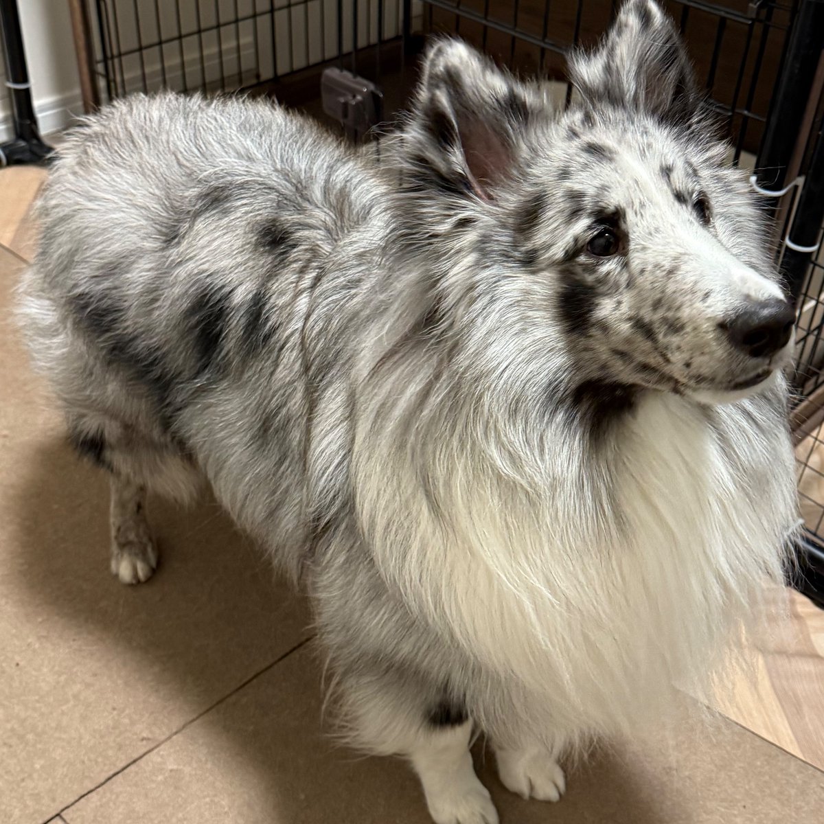 あけましておめでとうございます。今年もよろしくお願いします。