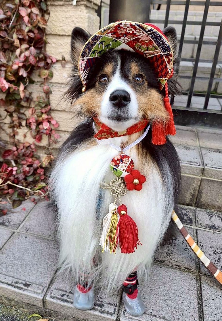 あけまして
おめでとうございます🎍✨