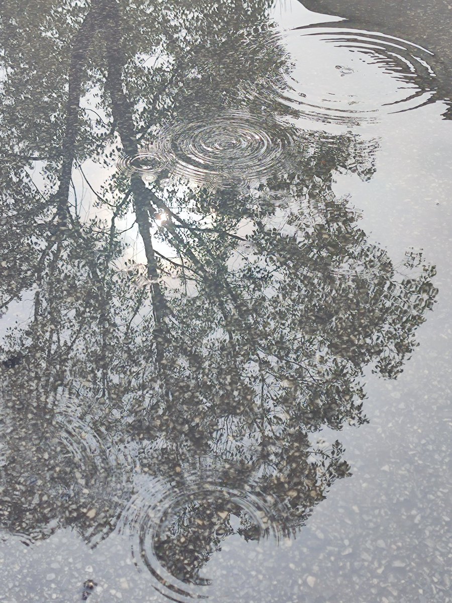 2026新年快乐🎉