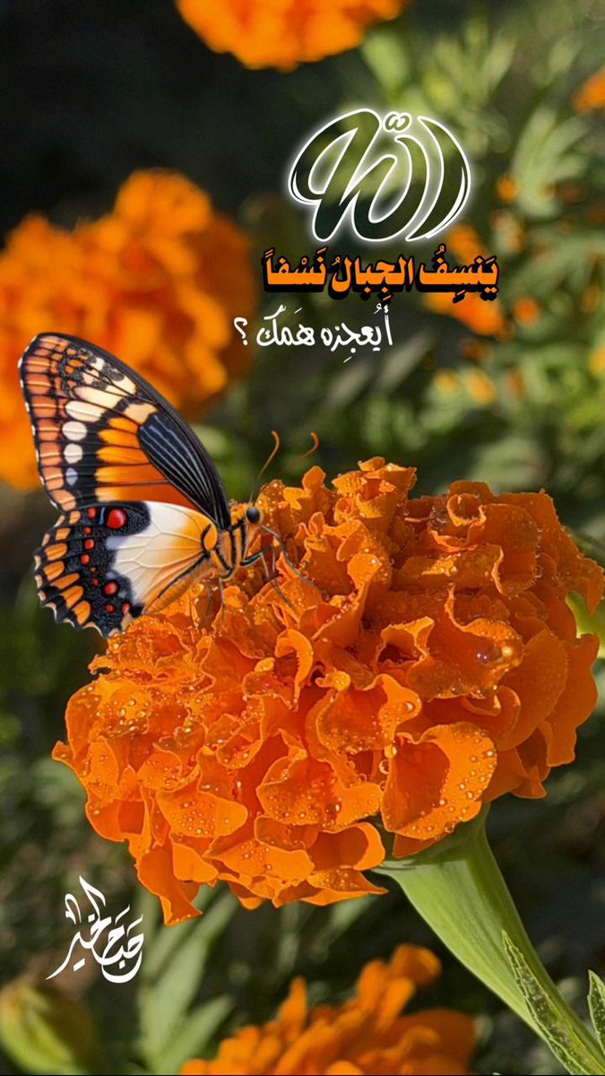 Fu2001s's tweet image. 