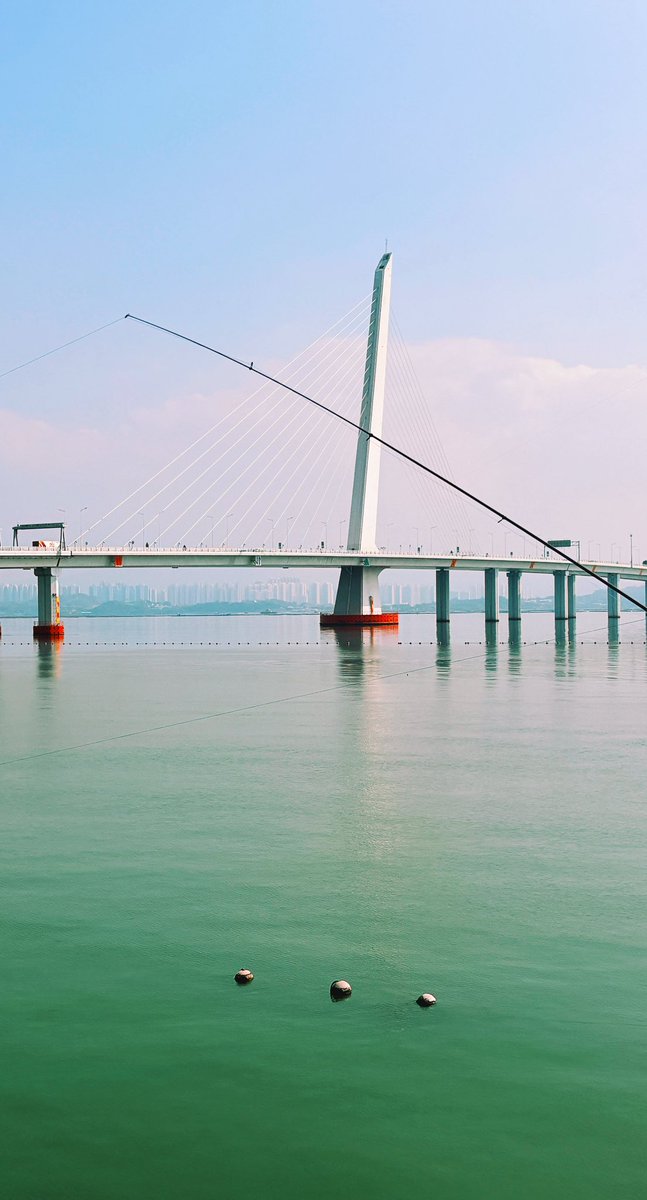 hellomy2024's tweet image. 00:06、00:08给我发“新年快乐”
因为我是排在00:01、02、03、04后面的🐠？