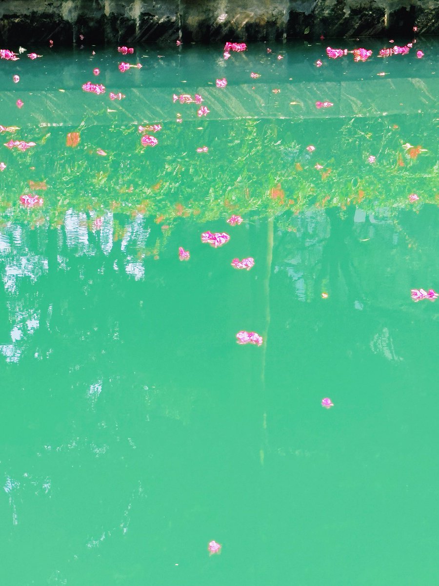 hellomy2024's tweet image. 00:06、00:08给我发“新年快乐”
因为我是排在00:01、02、03、04后面的🐠？