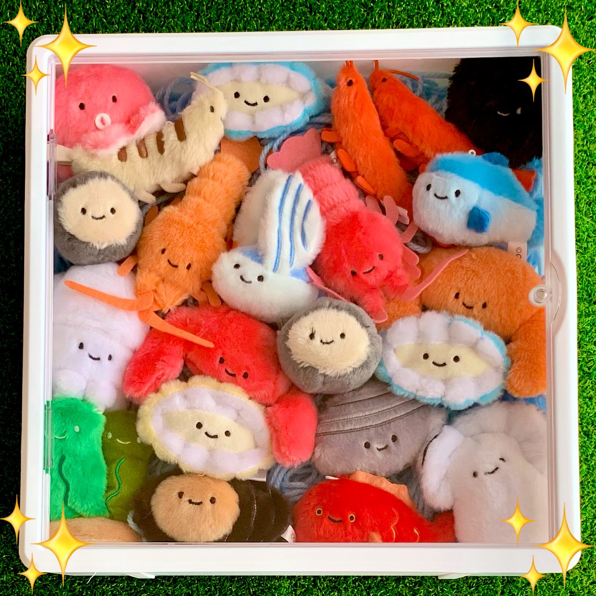 Miiitan♡みーたん (@Miiitan_223) / Posts / X