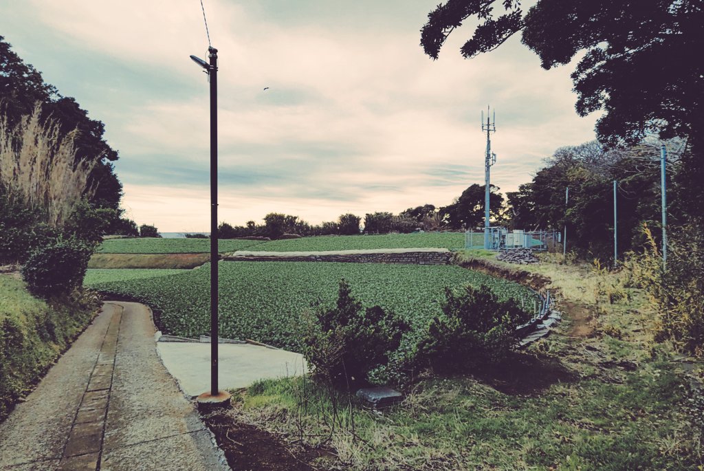 早乙女ボブ (@bob_saotome) on Twitter photo 