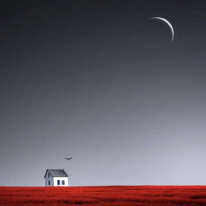 RoseW1530452's tweet image. •
—————— 🌱🌴🌱🌴
Music is the only way to escape from reality. Literally. When the world becomes too loud, I turn the volume higher and let everything else fade…
       - 🥀☕️🖋️
—————————— 🌱🌴🌱🌴
•
     ©️Kathrin Federer