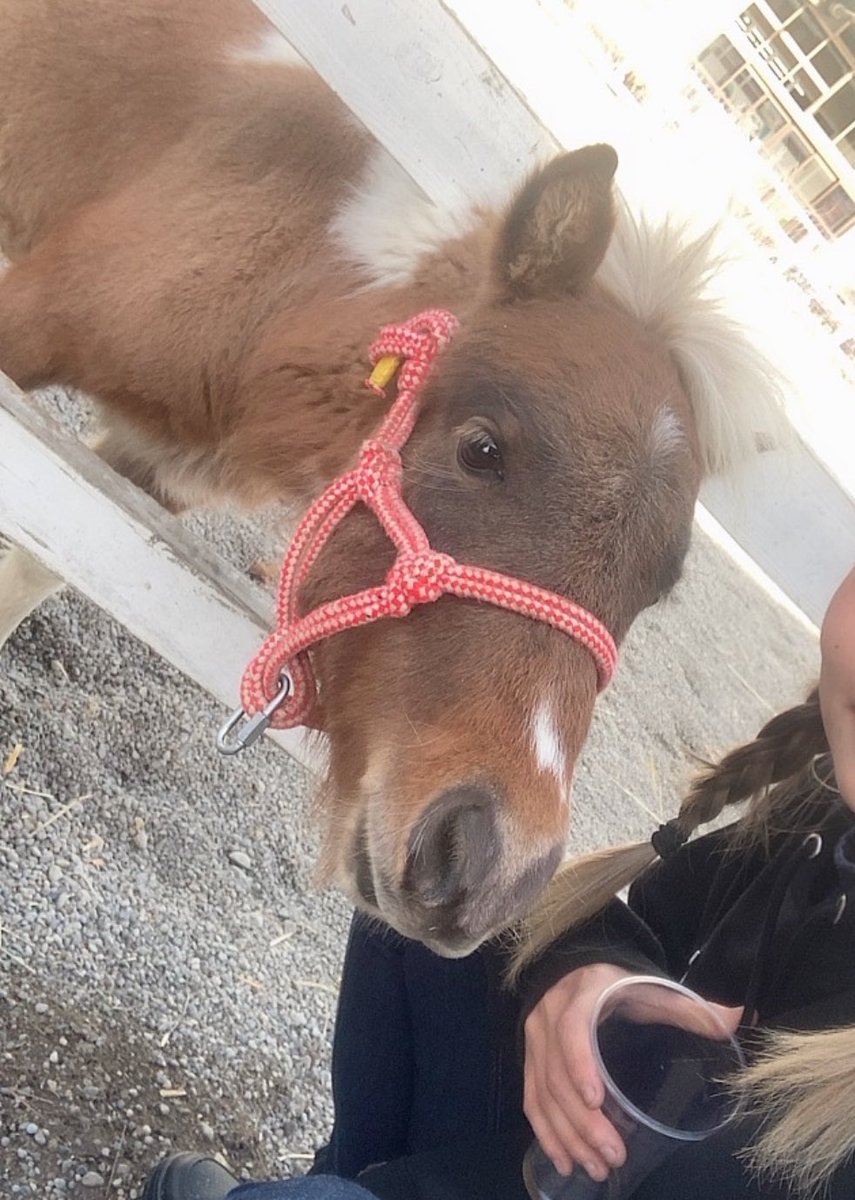 新年早々暴風雪🥲

皆様今年もよろしくお願い致します🙇