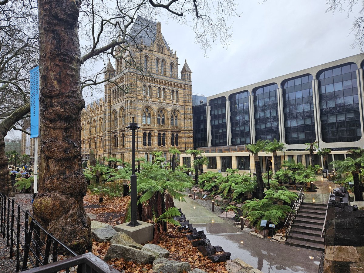 snep 🔜 FURUM '25 tweet media