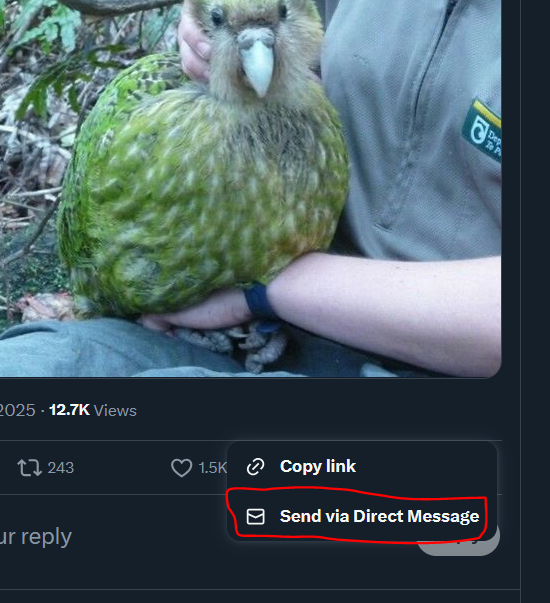 chicken boy 🐓 tweet media