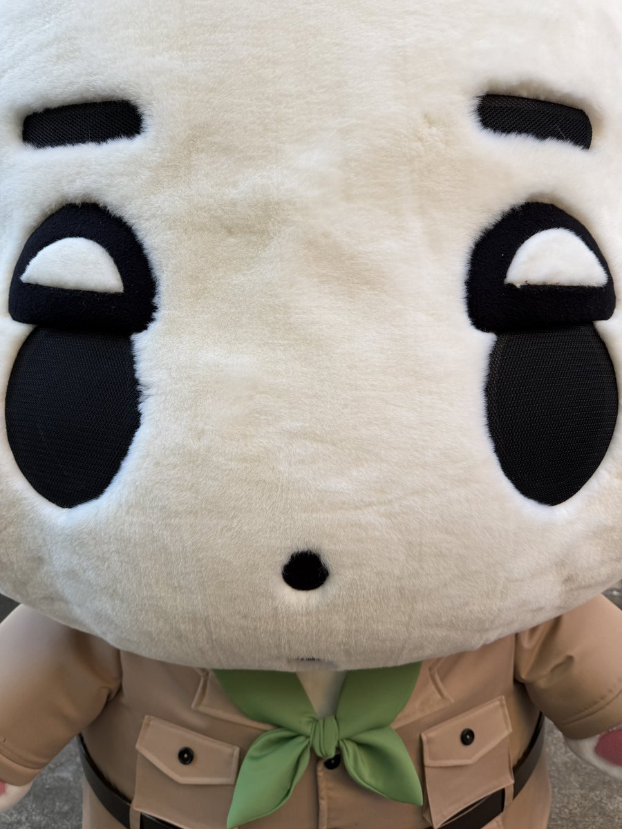 윈터원더랜드 tweet media