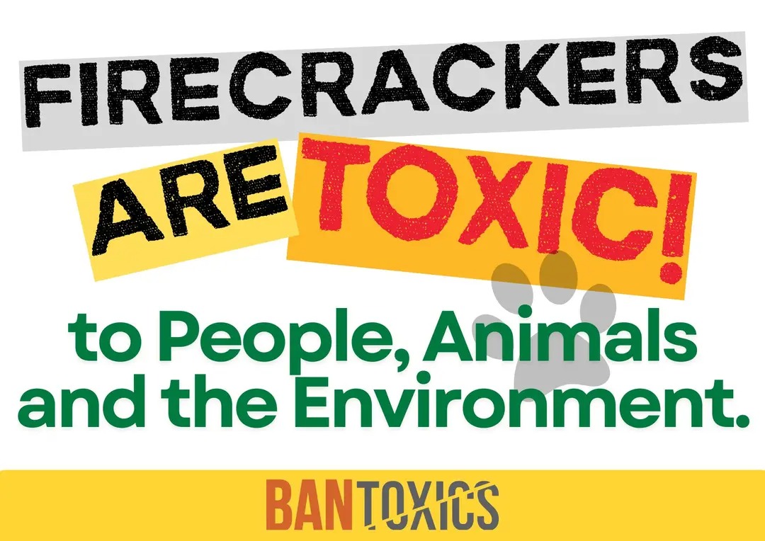 Firecrackers are TOXIC to people, animals, and the environment

“We remind the public of the hazards and harmful effects of firecrackers and fireworks on humans, animals and the environment.”

Read more: facebook.com/10006470217934…