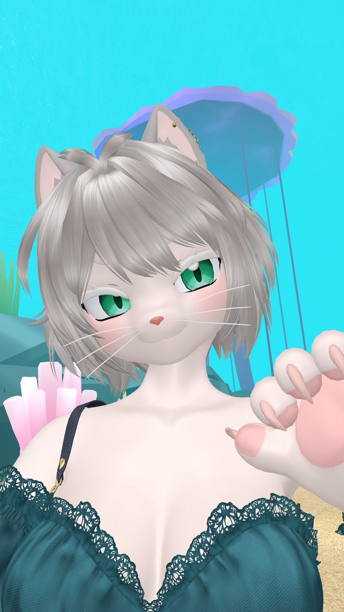 melonavirtual's tweet photo. Miau https://t.co/F1h4iZEajm