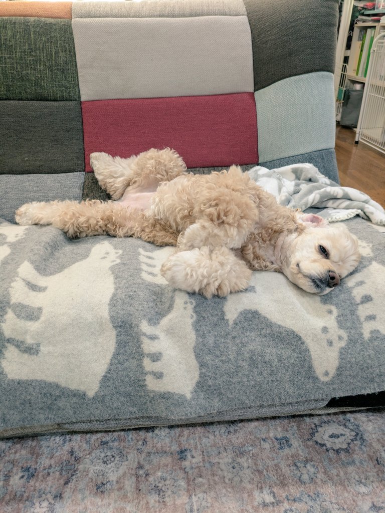 寝正月の手本を見せてもらっています