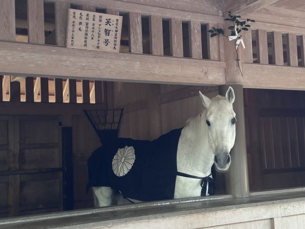 さっち (@sachio__3) / Posts / X