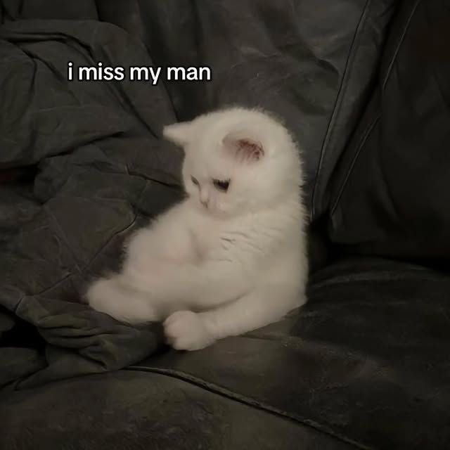 boyfriend tweet media