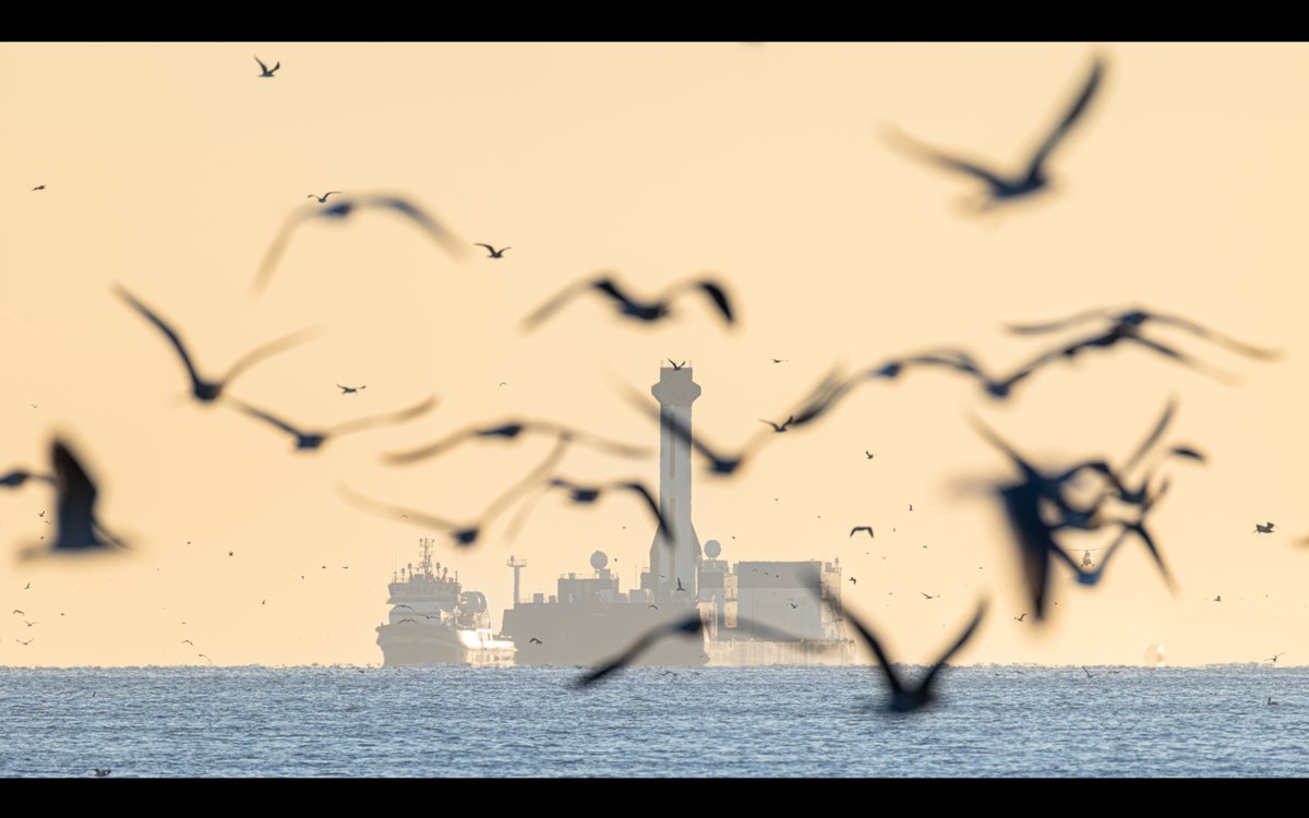 Michael Seeley tweet media