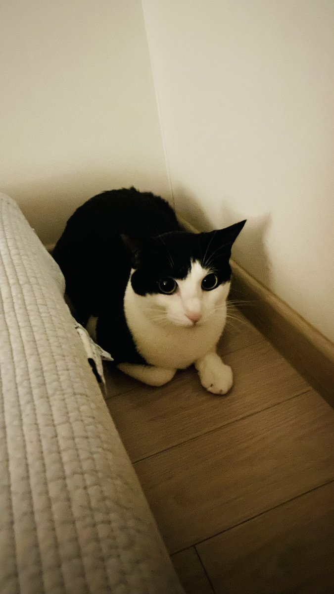 <a href="/jeon2geung2/">발동동</a> 고마오 웅니