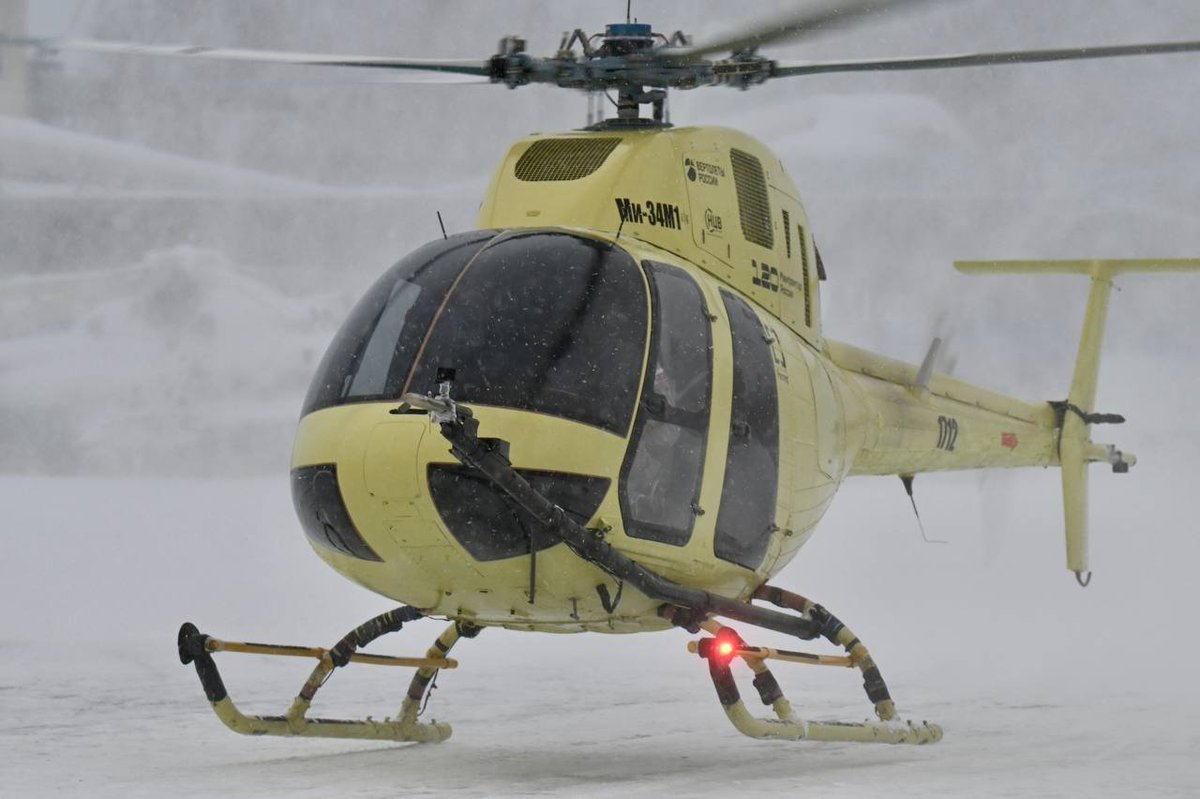 david D. tweet media