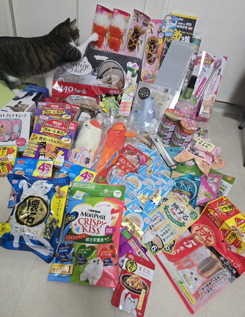 まりもちゃん！と🧌 (@marimo2021915) / Posts / X