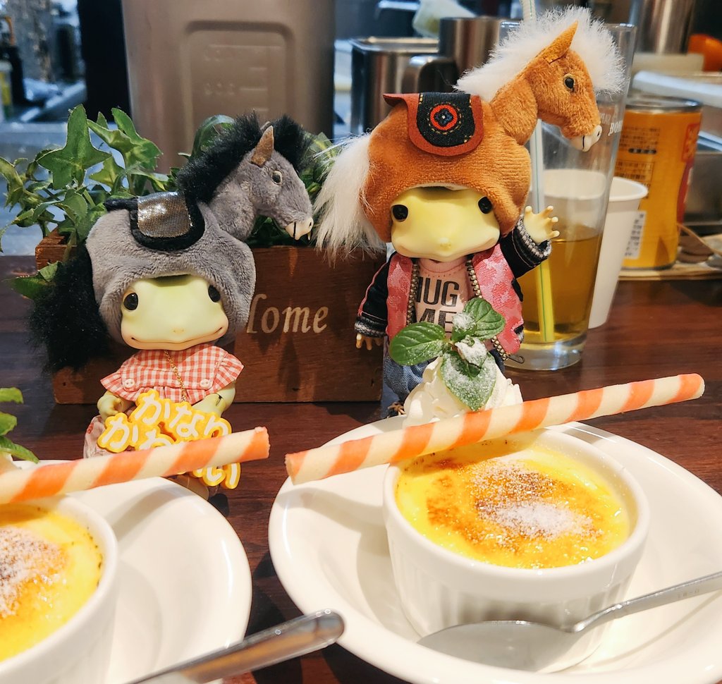 「明けましておめでとうございます🐸」

年越しはtennさんでした😋
年越しそばもお雑煮も新作デザートも美味しかったよ～✨
新年はやっぱりぴよ(<a href="/dollpiyo/">＊ぴよ＊</a>)様のかぶらなきゃ🤣

本年は動物ドールも大きい子達も構ってあげられるように自分時間大切にする一年にしたいですね🏇
よろしくお願いします🙇‍♀️🎍