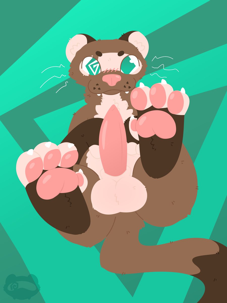 𝐹𝓇𝑒𝒶𝓀𝓎 Ferret tweet media