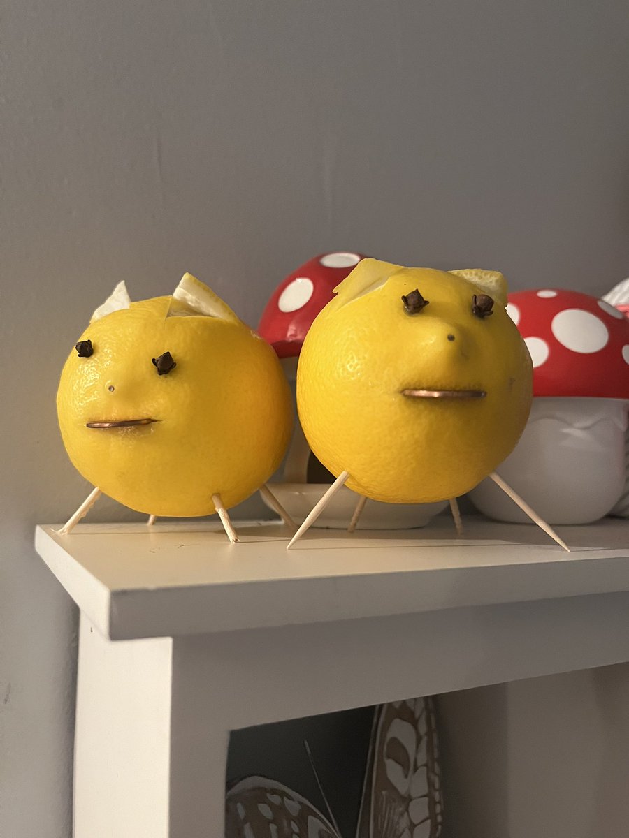 igothackedfml's tweet photo. Only posting because I wanted to share mine and my fiance's new year lemon piggies, also to update that I got engaged on christmas morning! Anyways, see you never probably https://t.co/x6x5QRazid