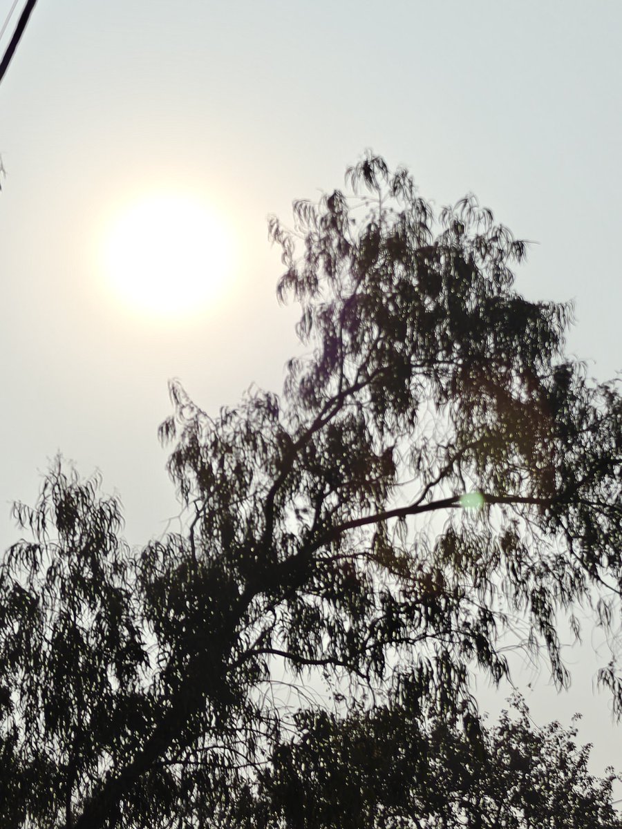 NishantSKumar's tweet photo. 'Tis a new day &amp; a new year https://t.co/grrxF7ibLX