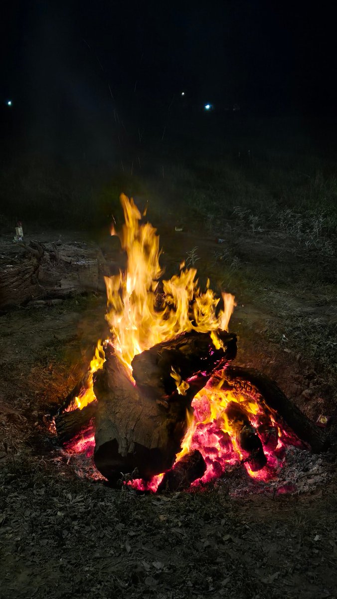 Coach Flo tweet media